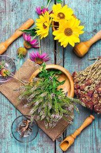 Mengatasi Stres dengan Tanaman Herbal